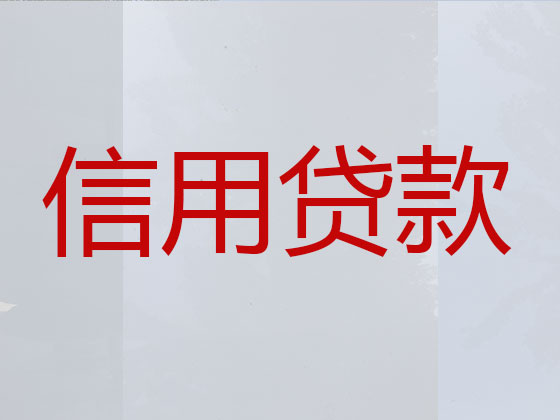景德镇贷款公司-银行信用贷款
